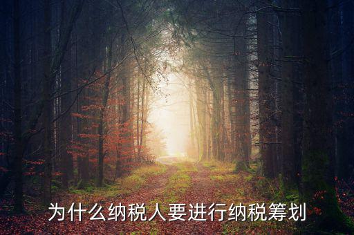 為什么要進行稅收規(guī)劃，為什么納稅人要進行納稅籌劃