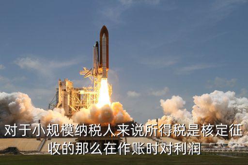 核定征收 有什么利，我不知道核定征收與查賬征收那個(gè)對(duì)公司有利些