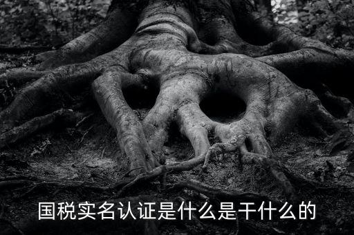 國稅實(shí)名認(rèn)證是什么是干什么的