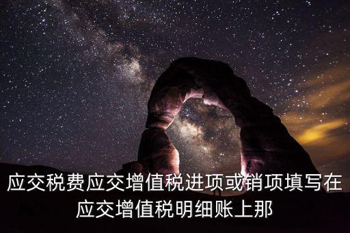 扣繳稅款登記填什么稅，在個人所得稅代扣代繳軟件中所要填寫的稅務(wù)登記號是填國稅的還是地