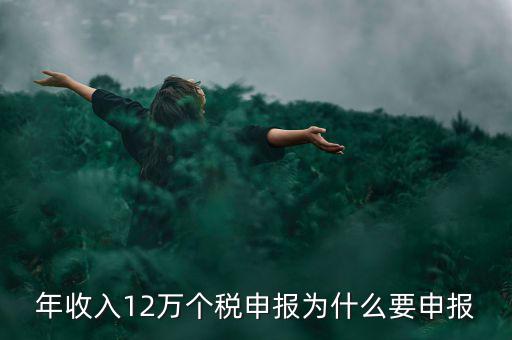 為什么12萬個稅申報表，12萬以上個人所得稅申報是什么意思