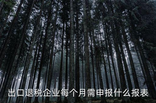 出口退稅每月需做什么申報(bào)，外貿(mào)企業(yè)第一次申報(bào)出口退稅需要準(zhǔn)備哪些資料