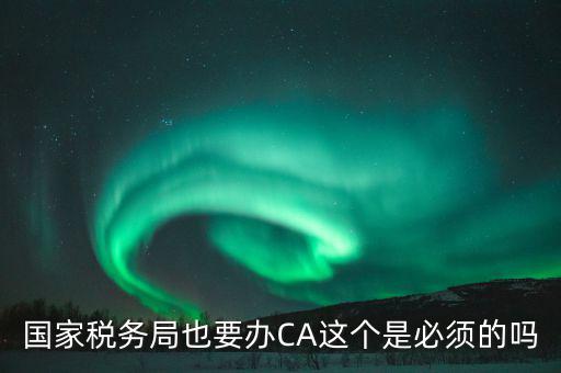 國稅ca是什么意思，短信提示我使用的國稅ca過期了什么個意思