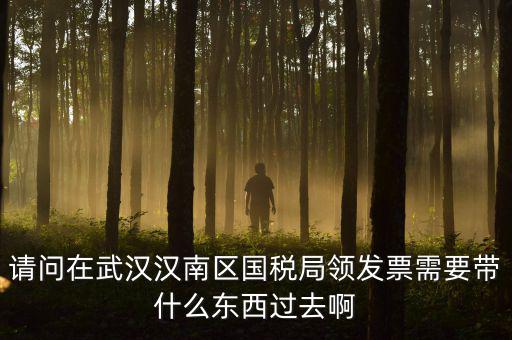 請問在武漢漢南區(qū)國稅局領發(fā)票需要帶什么東西過去啊
