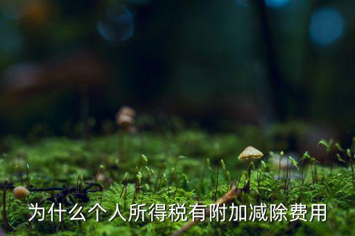 個稅減除費用是什么，個人所得稅費用扣除什么意思