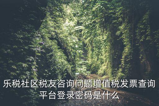 發(fā)票認(rèn)證平臺登陸密碼是什么，國稅局發(fā)票軟件里用戶代碼和密碼是什么