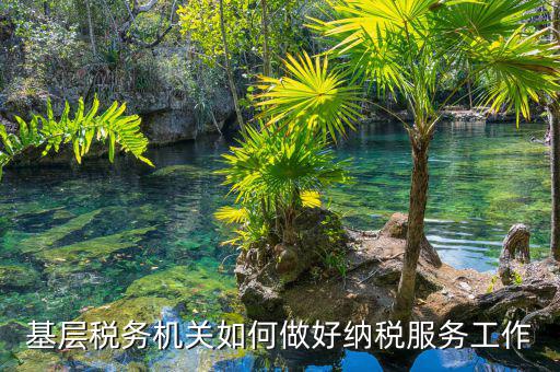 納稅服務(wù)是指什么，納稅服務(wù)的三個主體是什么