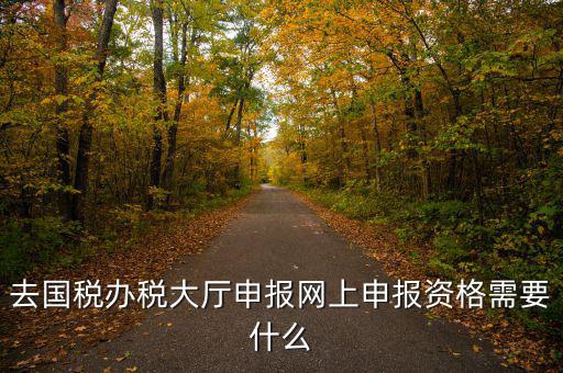 國稅網(wǎng)上申報用什么資料，去國稅辦稅大廳申報網(wǎng)上申報資格需要什么