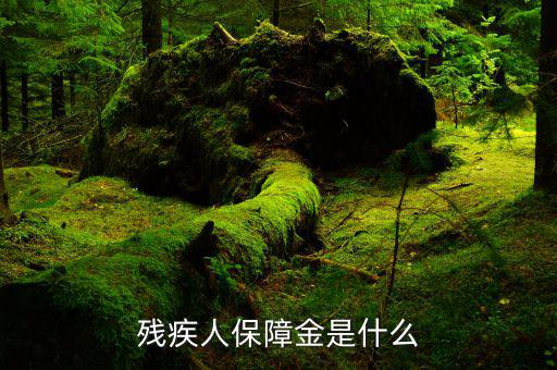 什么叫殘疾人就業(yè)保障金，殘疾人就業(yè)保障金