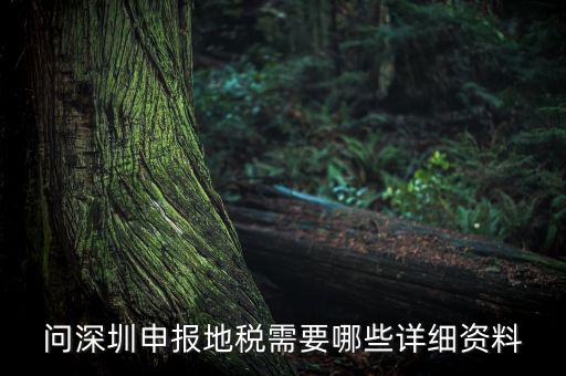 深圳市的地稅申報(bào)是什么，深圳市地稅怎么申報(bào)