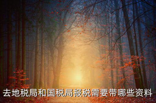 國稅報(bào)稅需要什么材料，去地稅局和國稅局報(bào)稅需要帶哪些資料
