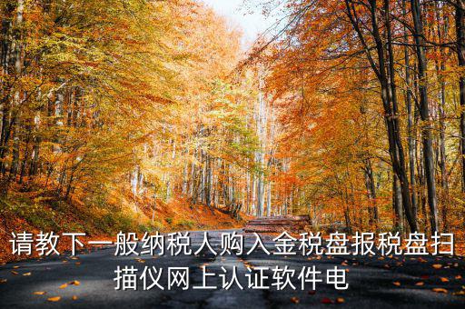 請教下一般納稅人購入金稅盤報稅盤掃描儀網(wǎng)上認(rèn)證軟件電