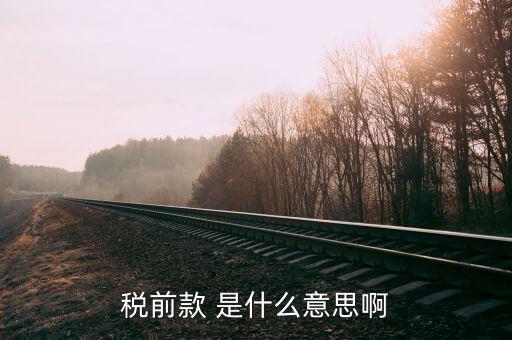 什么是稅前項(xiàng)目費(fèi)，稅前款 是什么意思啊
