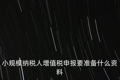 小規(guī)模報(bào)稅需要帶什么，小規(guī)模納稅人增值稅申報(bào)要準(zhǔn)備什么資料