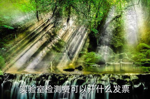 體檢費(fèi)要開什么票，實(shí)驗(yàn)室檢測(cè)費(fèi)可以開什么發(fā)票