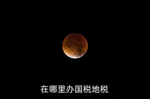 什么在地稅辦，在哪里辦國(guó)稅地稅
