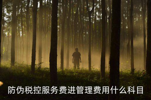 防偽稅控服務費是什么意思，繳納電子鑰匙的年費是防偽稅控服務費嗎