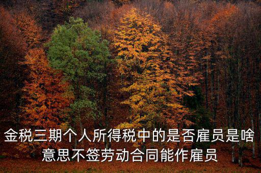 金稅非雇員什么意思，地稅金三期 個稅申報表中的雇員非雇員是什么意思 該填哪些人