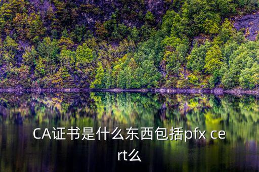 什么叫ca證書，什么事CA證書