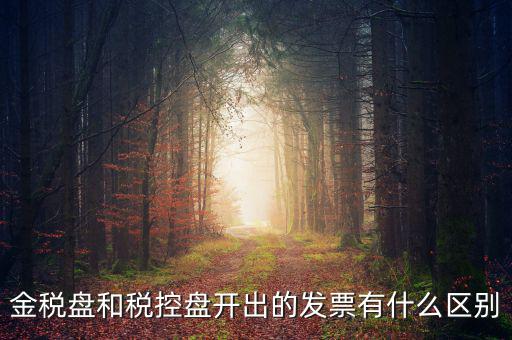 金稅盤和稅控盤是什么，金稅盤和稅控盤開出的發(fā)票有什么區(qū)別