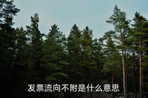什么是流向票，發(fā)票流向不附是什么意思