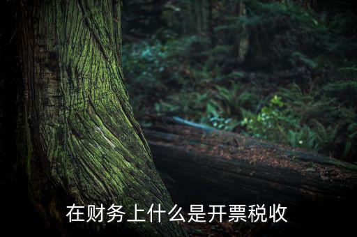 在財(cái)務(wù)上什么是開(kāi)票稅收