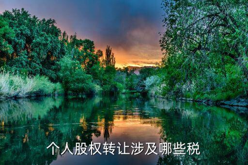 個人股權(quán)轉(zhuǎn)讓都涉及什么稅，法人股東股權(quán)轉(zhuǎn)讓分別涉及哪些稅種