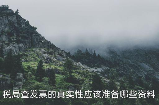 稅務(wù)局主要查發(fā)票什么資料，稅局查發(fā)票的真實(shí)性應(yīng)該準(zhǔn)備哪些資料