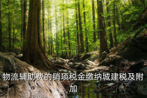 物流輔助費(fèi)的銷(xiāo)項(xiàng)稅金繳納城建稅及附加