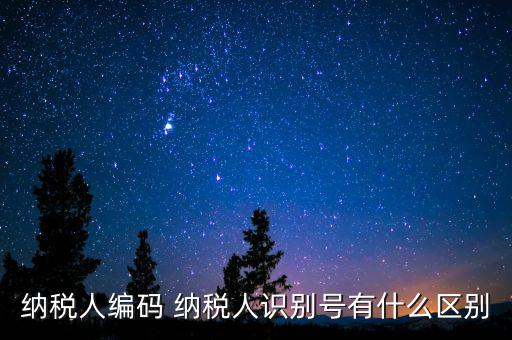 納稅人編碼 納稅人識(shí)別號有什么區(qū)別