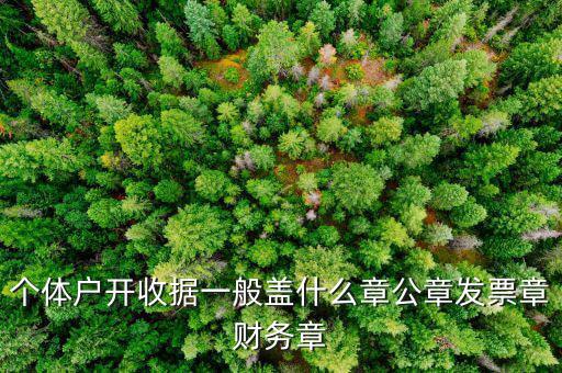 個(gè)體戶的定額發(fā)票蓋什么章，個(gè)體戶的定額發(fā)票上蓋的個(gè)體戶章能用嗎