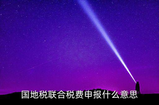 國稅地稅聯(lián)合有什么用，國地稅聯(lián)合稅費(fèi)申報(bào)什么意思