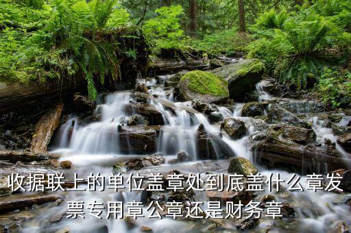 收據(jù)上面蓋什么章，收款收據(jù)上蓋什么章是財務章還是公章
