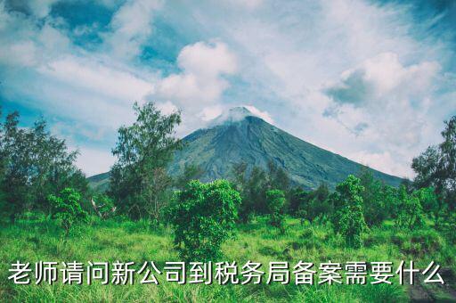 稅務報備需要什么材料，稅務備案需要哪些資料