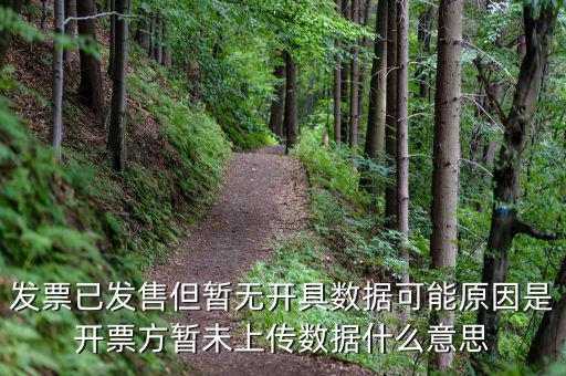 百旺的開票未上傳是什么意思，發(fā)票已發(fā)售但暫無開具數(shù)據(jù)可能原因是開票方暫未上傳數(shù)據(jù)什么意思