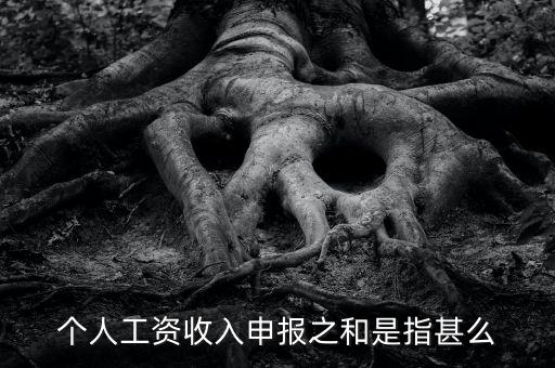 個人工資收入申報(bào)之和是指甚么