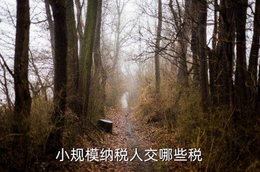 小規(guī)模都交什么稅，小規(guī)模納稅人要交什么稅