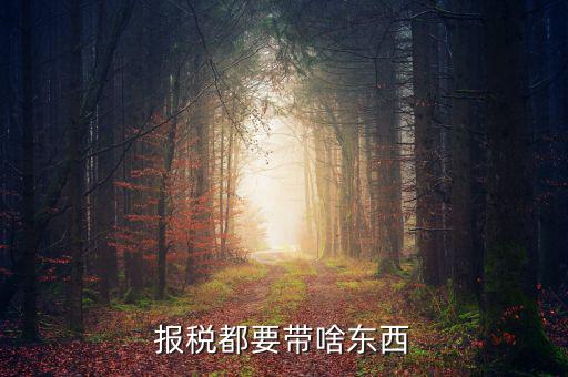 大連國稅局報稅帶什么東西，報稅都要帶啥東西
