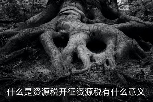 為什么開(kāi)證資源稅，什么是資源稅開(kāi)征資源稅有什么意義