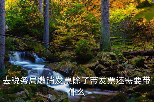 發(fā)票繳銷需要什么，未使用的發(fā)票如何繳銷需要哪些資料