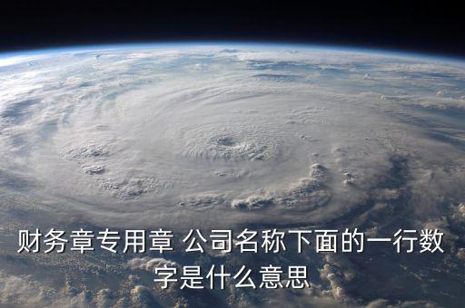 財務章專用章 公司名稱下面的一行數字是什么意思