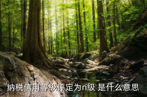 國稅信用級別是什么，納稅信用等級評定為n級 是什么意思