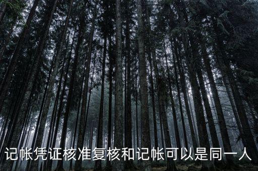 記帳憑證核準復(fù)核和記帳可以是同一人