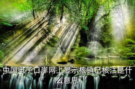 為什么核銷報(bào)驗(yàn)，中國電子口岸網(wǎng)上顯示核銷已核注是什么意思