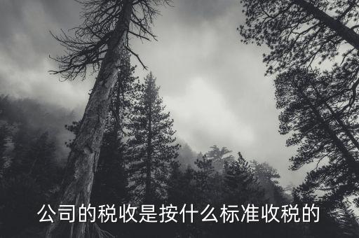 公司按什么標(biāo)準(zhǔn)納稅，公司的稅收是按什么標(biāo)準(zhǔn)收稅的