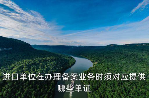 備案號(hào)在什么單證上，進(jìn)口單位在辦理備案業(yè)務(wù)時(shí)須對(duì)應(yīng)提供哪些單證