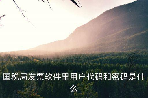 個(gè)稅用戶代碼是什么，國稅局發(fā)票軟件里用戶代碼和密碼是什么