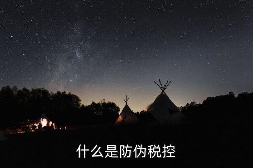 防偽稅控盤什么，什么是防偽稅控