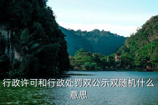 什么是稅務(wù)稽查雙隨機機制，行政許可和行政處罰雙公示雙隨機什么意思