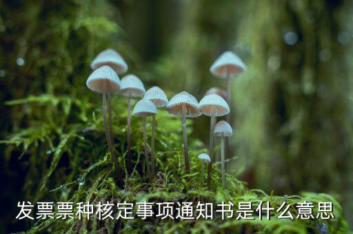 票種核定是什么，哪些情況下要進(jìn)行國(guó)稅票種核定
